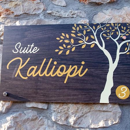 To Stolidi Tis Psinthou Villa Psinthos Eksteriør billede